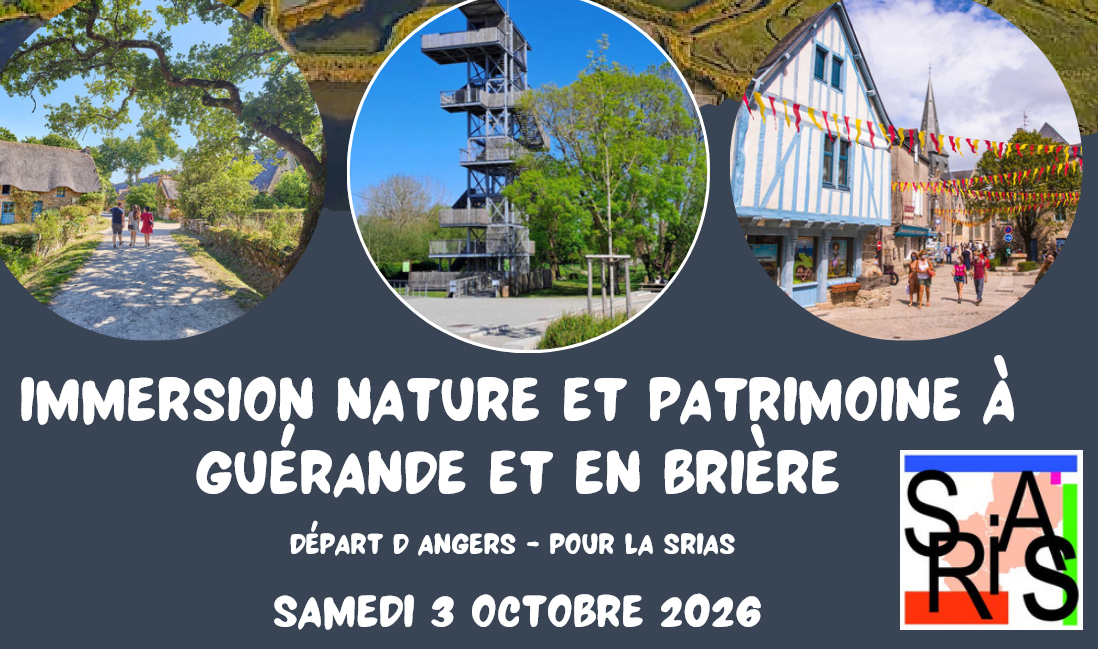 Journée à Guérande et en Brière